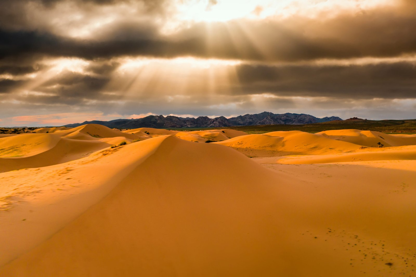 Coucher de soleil sur les dunes de sable du désert